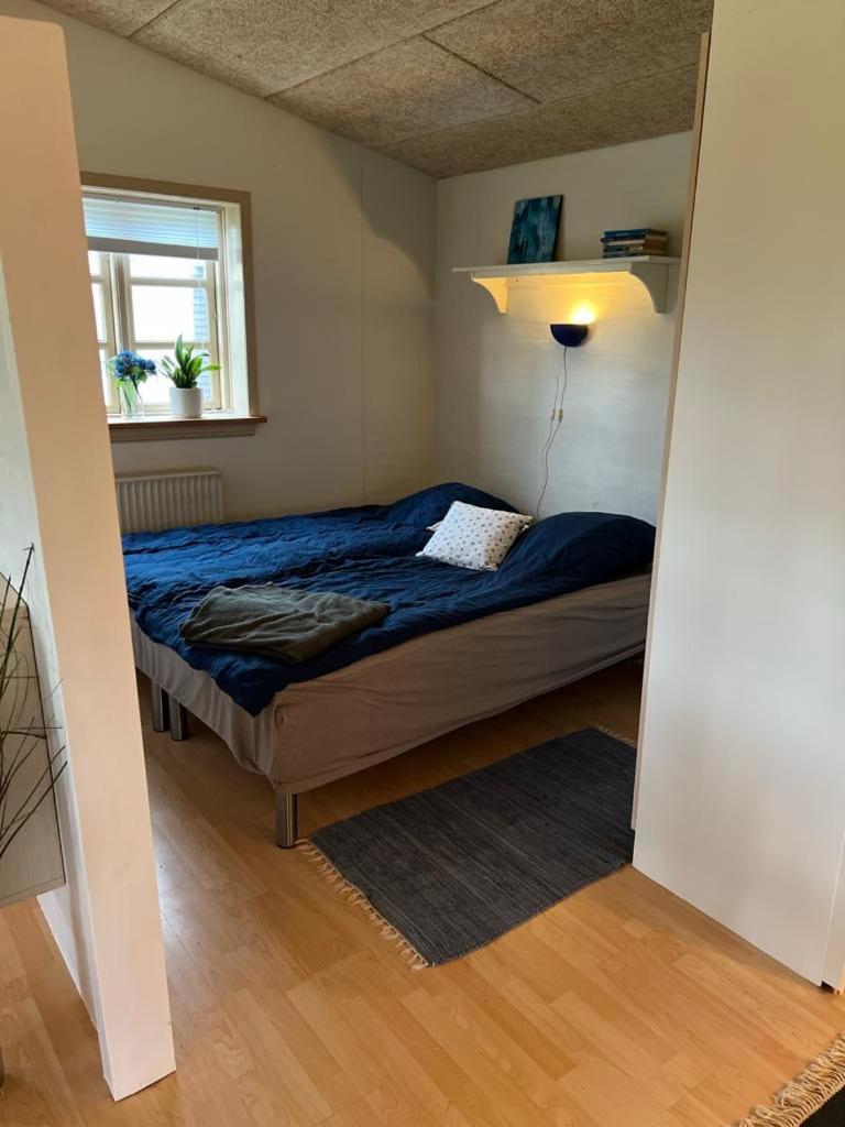 Skon Lejlighed Til 4 Personer Ansager Extérieur photo